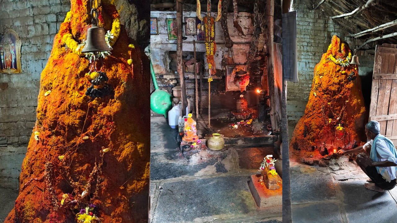 నాగమ్మ తల్లి ఉనికికి నిదర్శనం.. 44 ఏళ్లుగా పూరి గుడిసెలో గుట్టలా పెరిగిన పాముల పుట్ట..