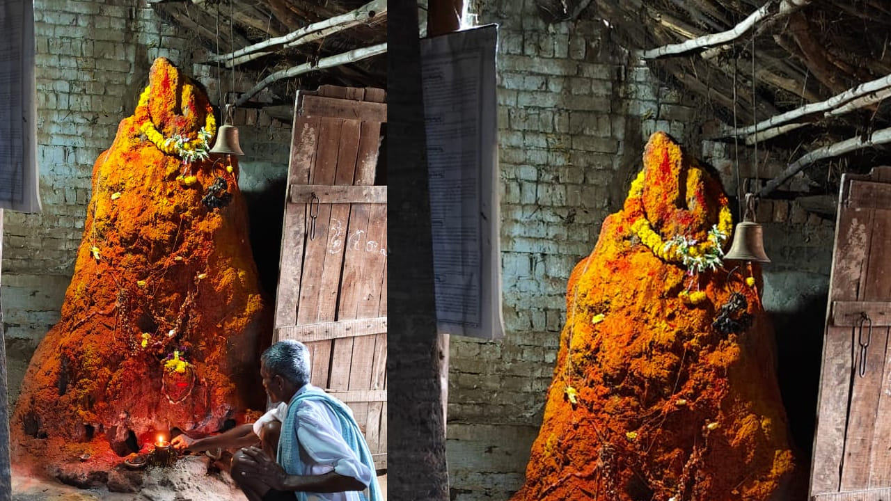 నాగుల చవితికి మినహా మిగిలిన సమయాలలో పాము పుట్టకు ఎవరూ పూజలు చేయరు.. కానీ ఇప్పుడు మనం చెప్పుకోబోతున్న వ్యక్తి 44 సంవత్సరాలుగా తన ఇంటిలో పాము పుట్టకు నిత్యం పూజలు చేస్తూ ఆ పుట్టనే దైవంగా కొలుస్తూ ఉన్నాడు.. 1981లో చిన్న పుట్టగా ఇంటిలో ఏర్పడిందని ఇప్పుడు 10 అడుగుల వరకు ఈ పుట్ట ఉంటుందని ఆ పుట్టకు పూజలు చేసే వెంకయ్య అంటున్నాడు.