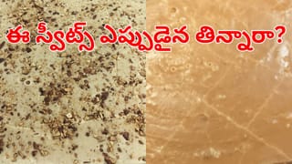 Andhra: వారాంతంలో జాలరికి లక్ తగిలింది.. ఇదేంది సామి ఇంత ఉంది…