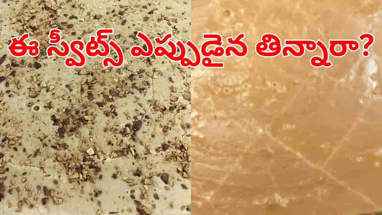 Kamallamma Mysore Pak: వెంకటగిరి రాజా ఫ్యామిలీ కోసం తయారైన స్పెషల్ రెసిపి.. మీరెప్పుడైనా టేస్ట్ చేశారా..