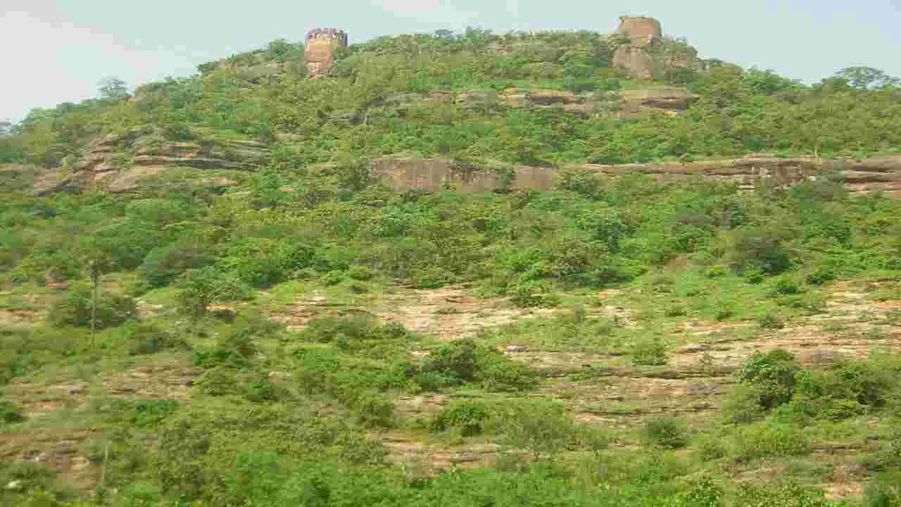రామగిరి ఖిల్లా : రామగిరి కోటాను రామగిరి ఖిల్లా అని కూడా పిలుస్తారు. అత్యంత సుందరమైన కోటాలో ఇది కూడా ఒకటి. ఈ కోట కరీంనగర్లో సందర్శించడానికి బెస్ట్ ప్లేస్. ప్రశాంతమైన వాతావరణం, పచ్చటి చెట్ల మధ్య ఆనందంగా ఎంజాయ్ చేయవచ్చును. ఈ కోట ఎక్కే సమయంలో గోదావరి నదుల విలీనం అయ్యే దృశ్యాన్ని చూడవచ్చునంట అంతే కాకుండా, ఈ కొండలో విలువైన ఆయుర్వేద మూలికు కూడా ఉన్నాయంట.