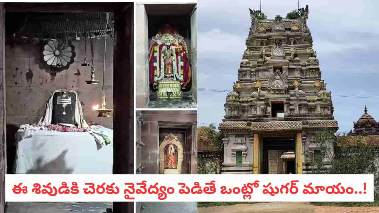 Venni Karumbeswarar Temple: షుగర్ పేషెంట్లు క్యూ కడుతోన్న శివాలయం.. ఈ ఆలయ రహస్యం ఇదే!