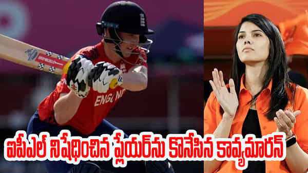 Kavya Maran: ఐపీఎల్లో నిషేధం.. కట్చేస్తే.. రూ. 5.6 కోట్లతో కిరాక్ ప్లేయర్ను కొనేసిన కావ్య మారన్..!