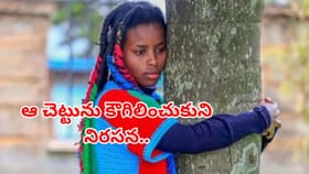 ఆ చెట్టును కౌగిలించుకుని మహిళ నిరసన.. 72 గంటల పాటు