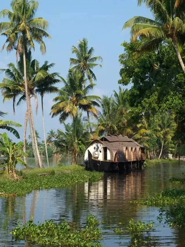 ఇవి కేరళలో మాత్రమే కనిపిస్తాయి.. వరల్డ్ మొత్తంలో నో ఛాన్స్..