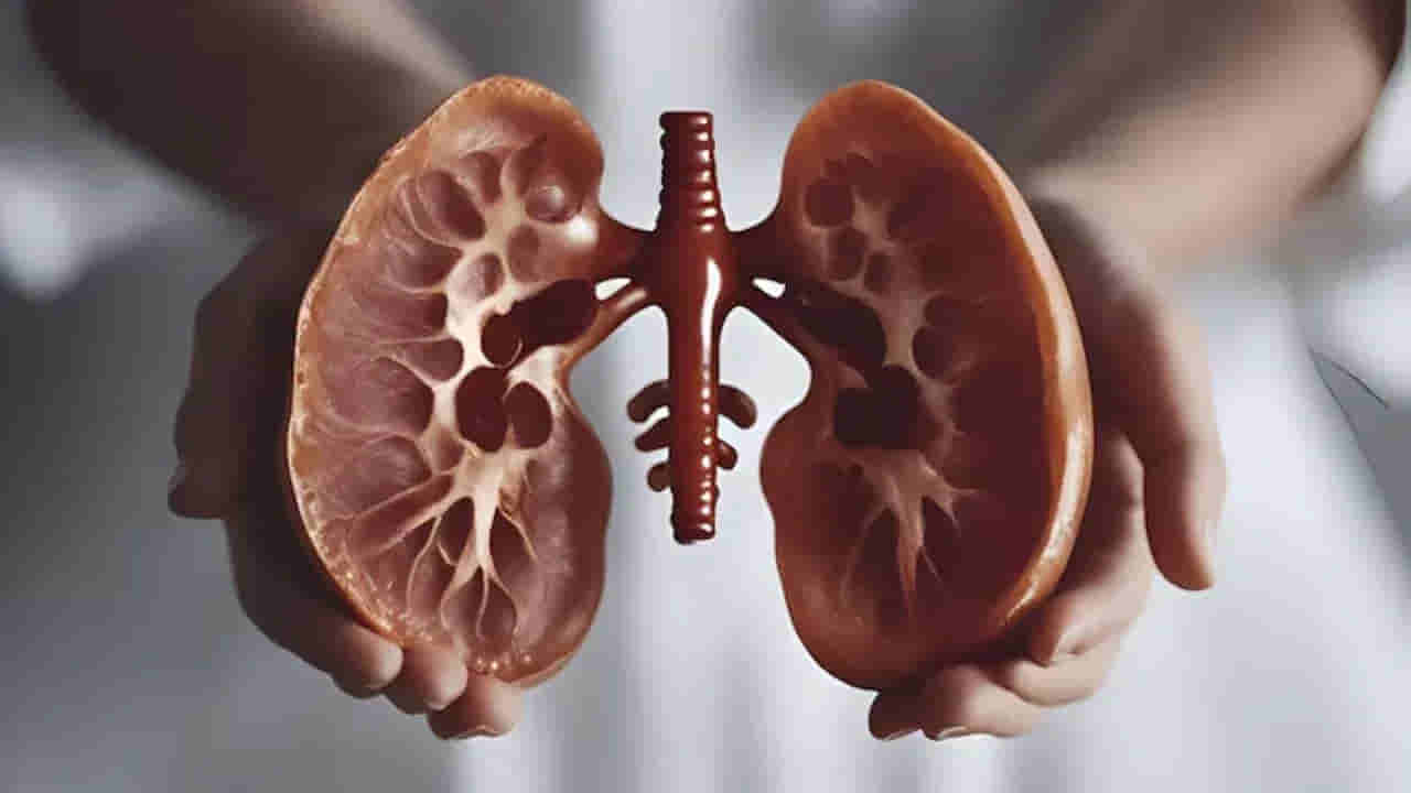 మద్యం కన్నా డేంజరస్ డ్రింక్ ఇదే.. తాగారంటే మీ కిడ్నీలు గుల్లగుల్లే..