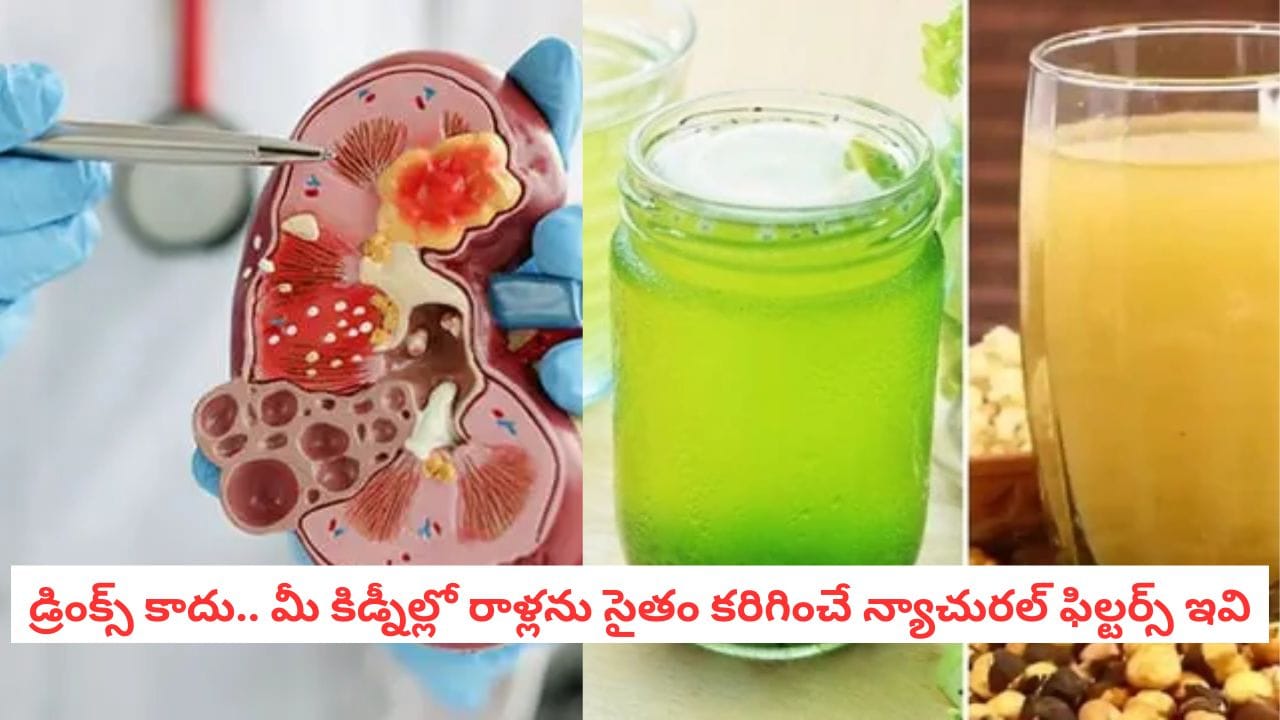 Kidney Health : మీ కిడ్నీలు టాక్సిన్స్‌ను ఫిల్టర్ చేయాలంటే ఈ నేచురల్ డ్రింక్స్ తప్పనిసరి! – Telugu News | Beyond Water 7 Best Kidney Friendly Drinks to Flush Toxins and Boost Filtration details in telugu