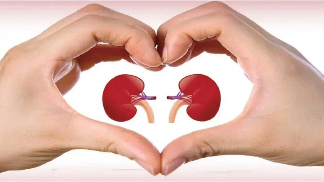 మీ కిడ్నీలు బాగుండాలంటే డైలీ ఇలా చేయండి చాలు.. కొన్ని రోజుల్లోనే రిజల్ట్..