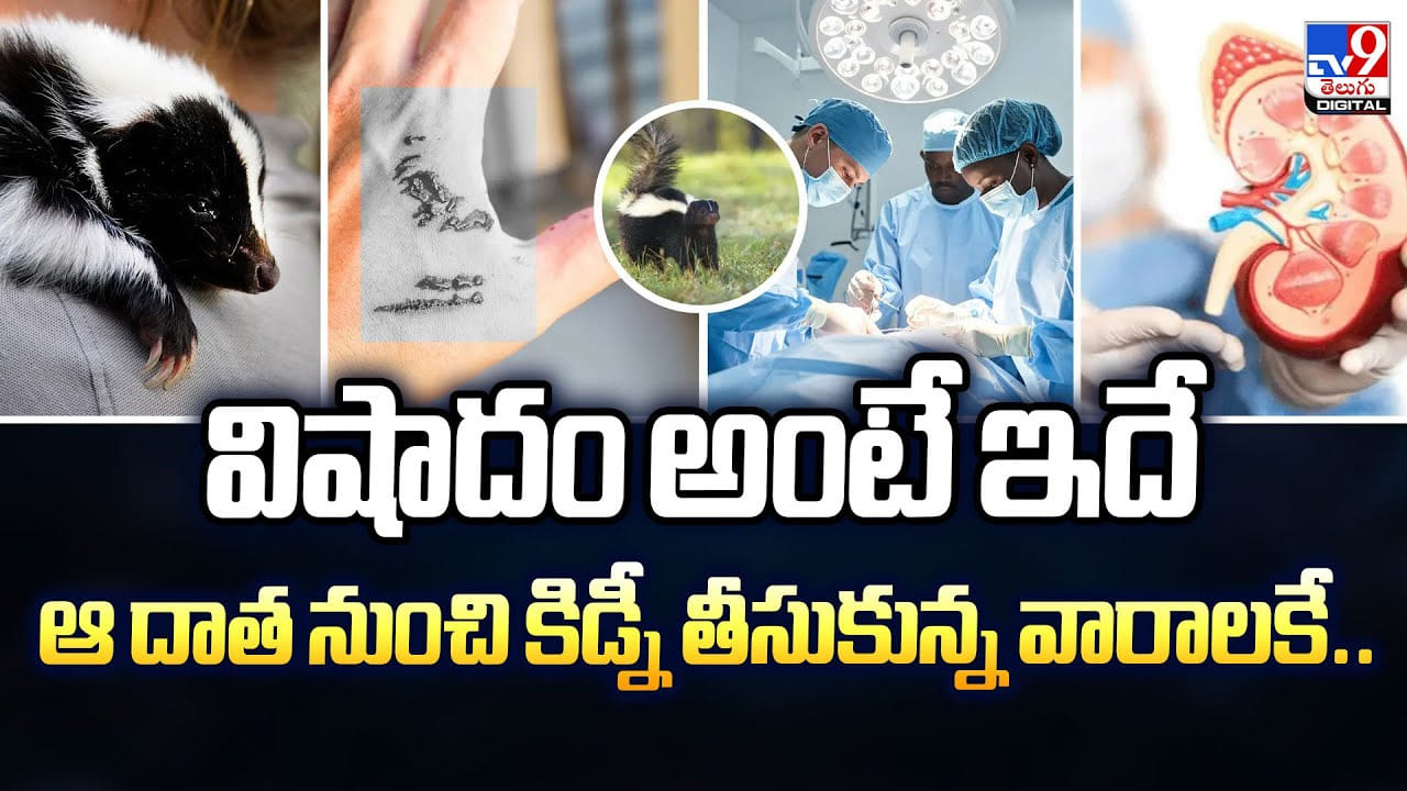 విషాదం అంటే ఇదే... ఆ దాత నుంచి కిడ్నీ తీసుకున్న వారాలకే