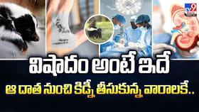 విషాదం అంటే ఇదే... ఆ దాత నుంచి కిడ్నీ తీసుకున్న వారాలకే