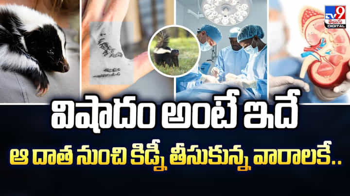 విషాదం అంటే ఇదే... ఆ దాత నుంచి కిడ్నీ తీసుకున్న వారాలకే విషాదం అంటే ఇదే... ఆ దాత నుంచి కిడ్నీ తీసుకున్న వారాలకే