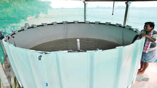 Business Idea: వేలల్లో పెట్టుబడి పెడితే.. లక్షల్లో లాభాలు పక్కా..! బిజినెస్ ఐడియా మీకోసం