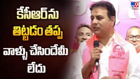 కేసీఆర్ ను తిట్టడం తప్ప వాళ్ళు చేసిందేమీ లేదు