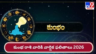 మీన రాశి వార్షిక ఫలితాలు 2026: అనుకూల పరిస్థితుల కోసం జూన్ వరకు ఆగాల్సిందే..