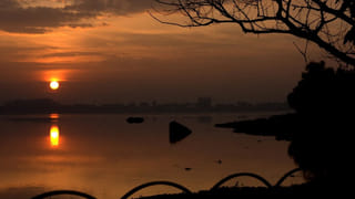 Guava Fruits: రోజూ ఓ జామ పండు తింటే.. మీ ఒంట్లో జరిగే మార్పు ఇదే!