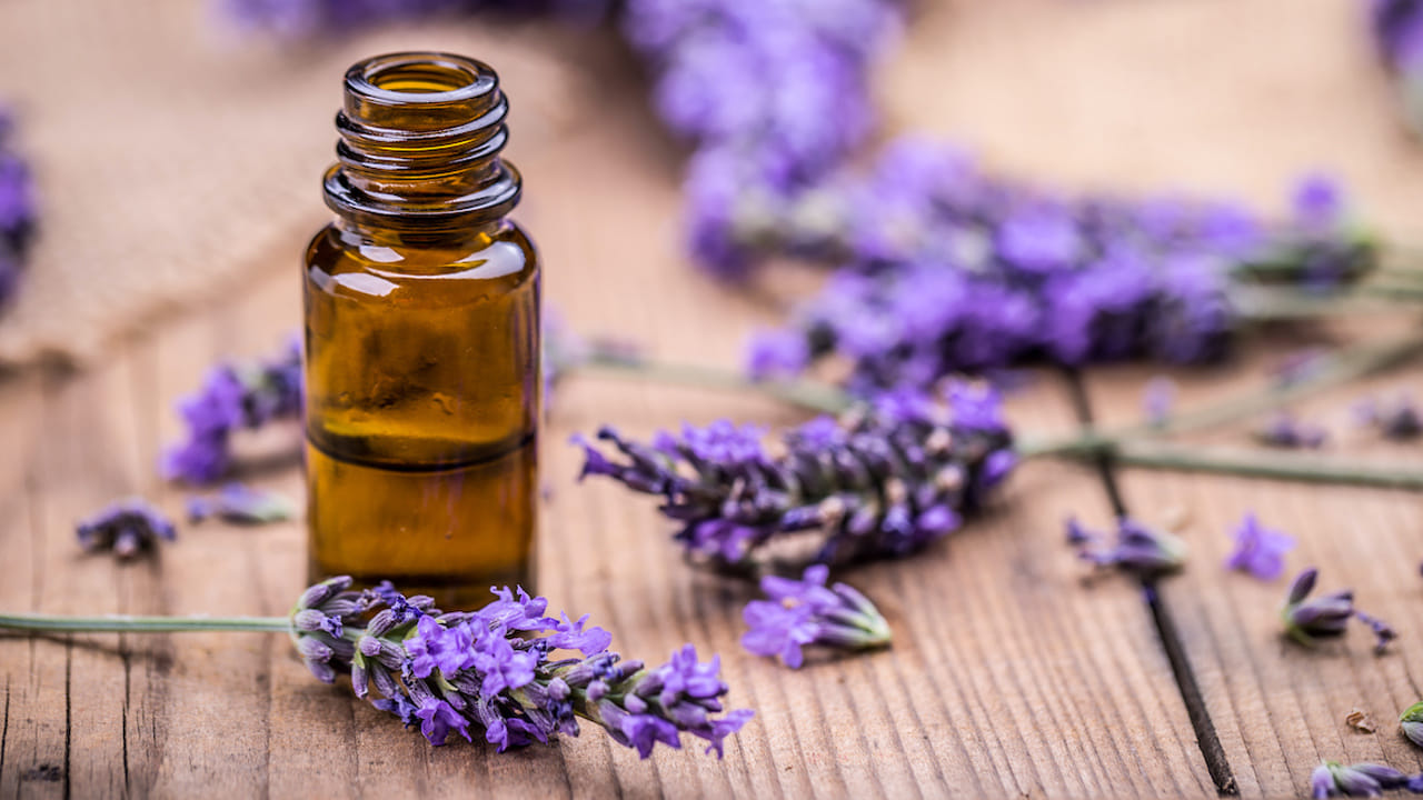 Lavender Oil