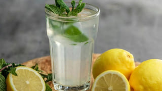 కోల్‌కతాఎకో-ఫ్రెండ్లీ వెకేషన్ గైడ్‎లైన్స్.. టూర్ ప్లాన్ ఉంటే పక్కా పాటించాలి..