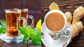 అల్లం టీ Vs లెమన్ టీ.. ఆరోగ్యానికి ఏది బెస్ట్.. ఎప్పుడు ఏది..