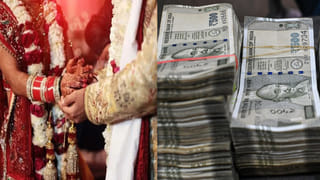 మీ డబ్బు ప్రభుత్వ బ్యాంకులో కంటే.. ప్రైవేట్‌ బ్యాంకులోనే సేఫ్‌గా ఉంటుందా? ఆర్బీబీ లెక్కలే అందుకు నిదర్శనం!