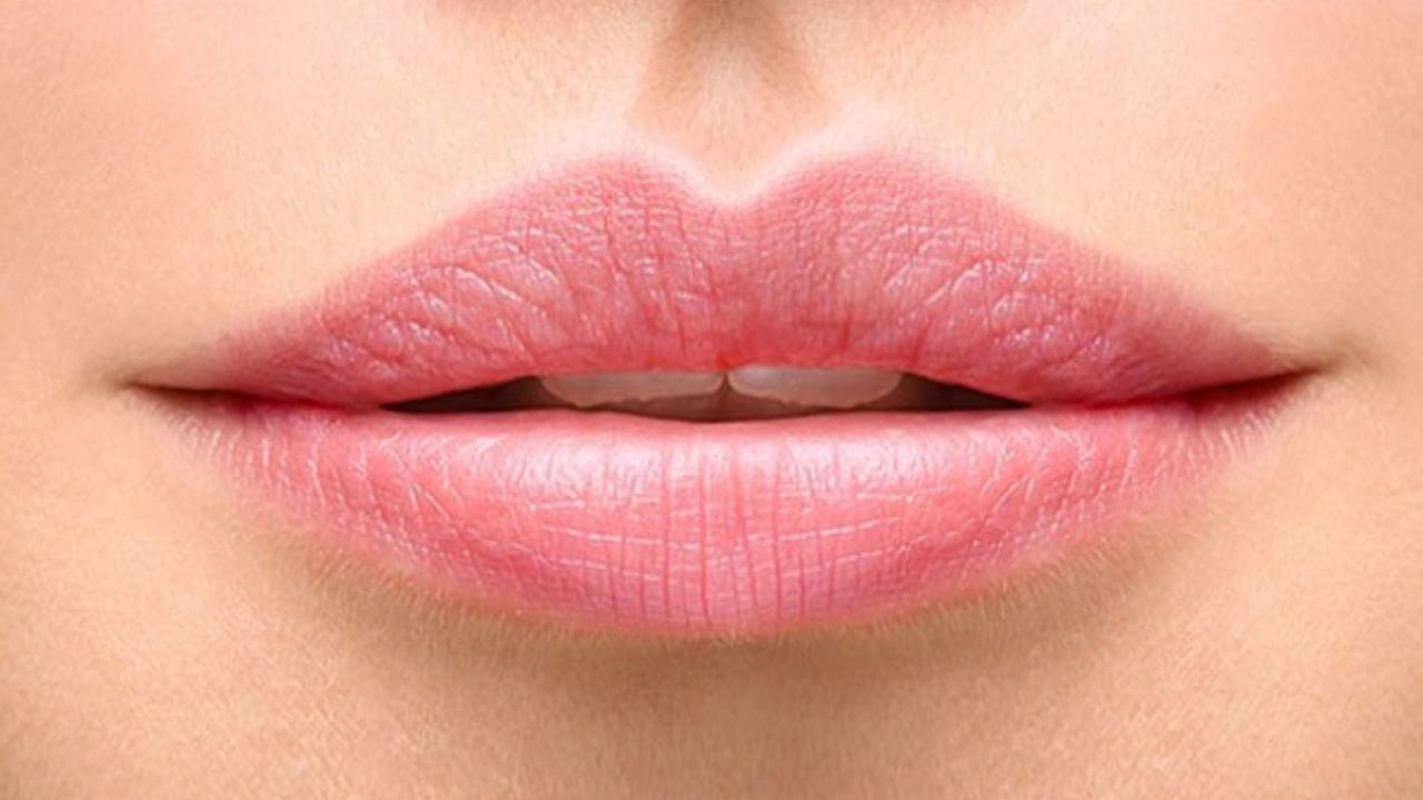 పై పెదవి కంటే కింద పెదవి పెద్దగా ఉండే: ఈ ఇలాంటి పెదవుల నిర్మాణం కలిగిన వ్యక్తులు ఎల్లప్పుడు ఉల్లాసంగా ఉత్సాహంగా ఉంటారు. ఎప్పుడూ వినోదం, ఆనందం కోసం ప్రయత్నిస్తూ ఉంటారు. వీరు ఎక్కువగా సాహసోపేత పనులు చేస్తుంటారు. జీవితంలో ప్రతి విషయాన్ని ప్రత్యేక తీసుకుంటారు. వీరు ప్రతి విషయంలో చురుగ్గా ఉంటారు.  