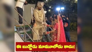 Viral Video: బైక్‌పై వెళ్తుండగా.. మొరిగిన కుక్క.. బైక్ రైడర్ చేసిన పనికి పరుగో.. పరుగు..!