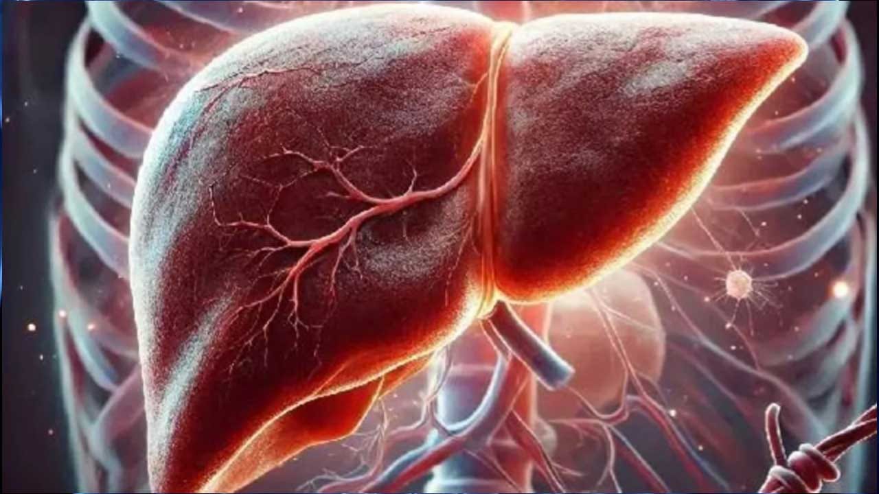 కాలేయం శరీరంలో కీలక పాత్ర పోషిస్తుంది. అందుకే కాలేయ ఆరోగ్యం విషయంలో తప్పకుండా కొన్ని జాగ్రత్తలు తీసుకోవాలని చెబుతుంటారు ఆరోగ్య నిపుణులు. అయితే కొంత మంది ఆరోగ్యం విషయంలో తగు జాగ్రత్తలు తీసుకోక అనేక ఇబ్బందులు ఎదుర్కుంటారు. దీంతో చాలా మంది కాలేయ క్యాన్సర్ బారిన పడుతున్నారు. అయితే ఇప్పుడు మనం కాలేయ క్యాన్సర్ వచ్చే ముందు ఎలాంటి సంకేతాలు కనిపిస్తాయో చూద్దాం.