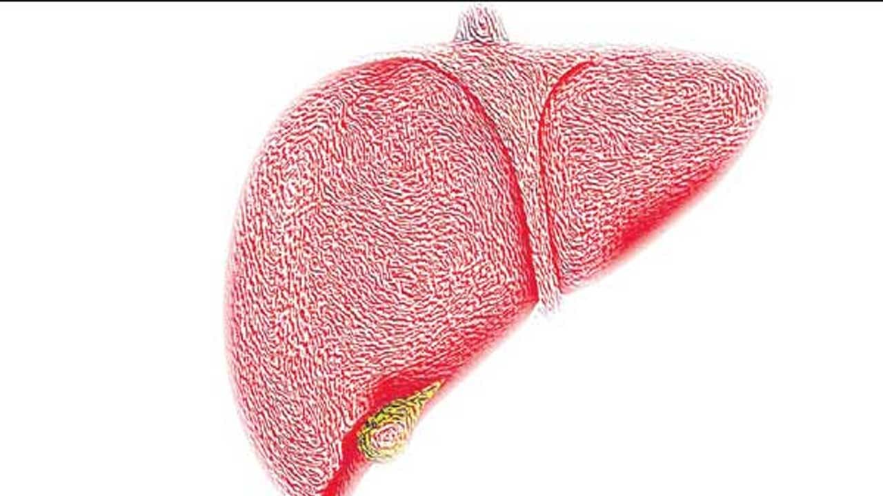 అదే విధంగా ఆకలి తగ్గడం, త్వరగా కడుపు నిండిపోయిన భావన కలిగించడం, జీర్ణక్రియలో సమస్యలు, తినాలనే కోరిక తగ్గిపోవడం, కొంత తినగానే కడుపు నిండిన భావన కలగడం ఇవన్నీ కూడా కాలేయ క్యాన్సర్ ప్రారంభ లక్షణాలే అంటున్నారు ఆరోగ్య నిపుణులు.