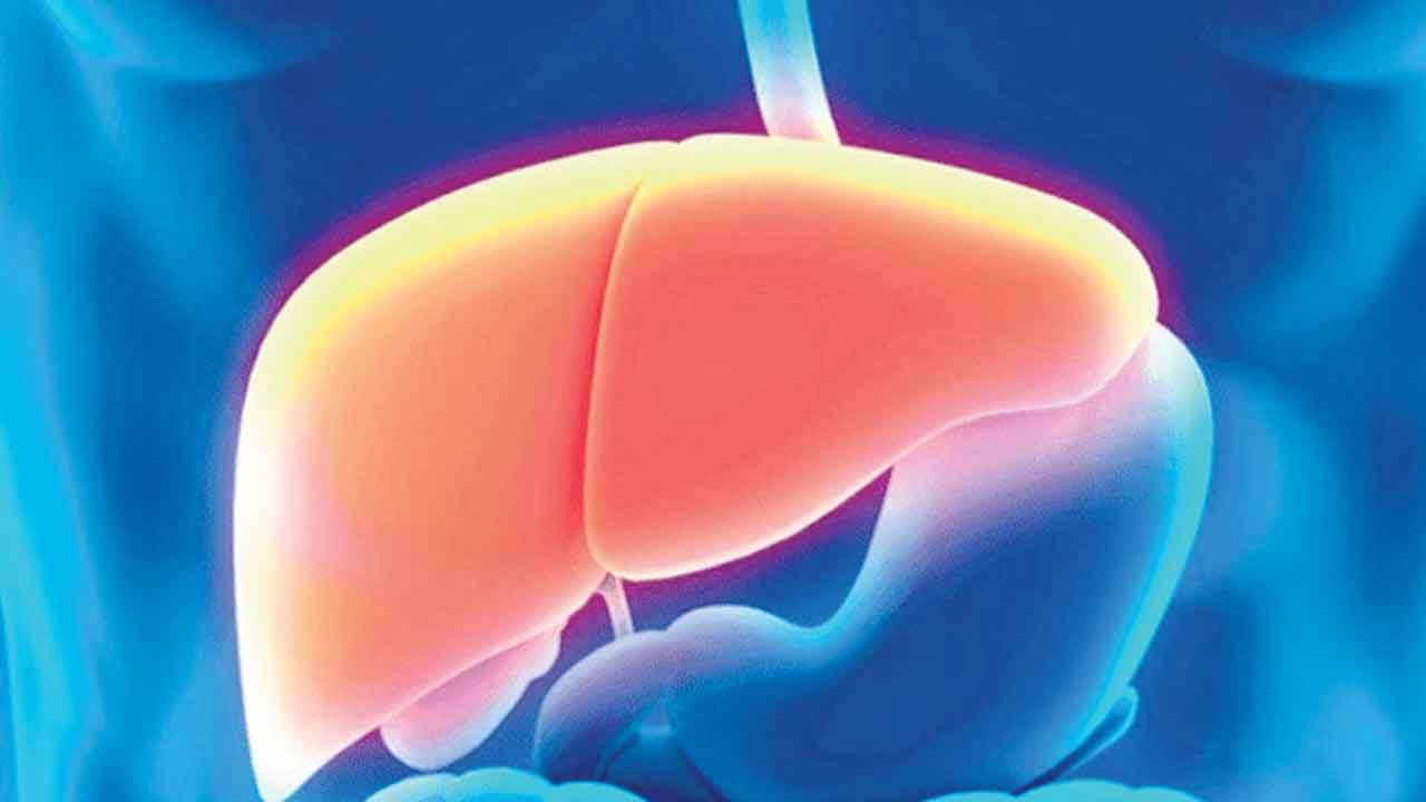 శరీరంలో కుడివైపున కాలేయం ఉంటుంది. కాబట్టి కుడివైపున భాగంలో పదే పదే నొప్పిగా, లాగినట్లు అనిపిస్తే తప్పకుండా ఒకసారి వైద్యుడిని సంప్రదించాలంట. అలాంటి నొప్పి ఎక్కువ కాలం కొనసాగినా, అది కాలేయ క్యాన్సర్కు కారణం కావచ్చు అంటున్నారు ఆరోగ్య నిపుణులు.