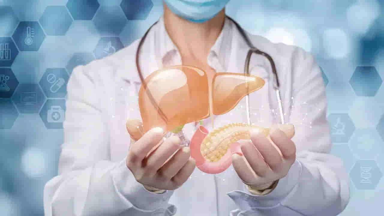 శీతాకాలంలో మీ కాలేయం జాగ్రత్త.. లవర్ లాంటి లివర్ను కాపాడుకోవాలంటే వీటి జోలికే వెళ్లొద్దు..