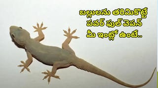 సాయంత్రం వేళల్లో మీరూ ఈ తప్పులు చేస్తున్నారా? జాగ్రత్త..