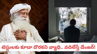 Health Tips: ఒంట్లో వేడి పుట్టించే సూపర్ డ్రింక్స్ .. చలికాలంలో రోజూ తాగితే ఎంత హాయో..