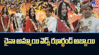 Viral Video: అక్కడెలా దూరావ్ మావ.! ఇంటి గోడలో కుప్పలు తెప్పలుగా.. వీడియో చూస్తే