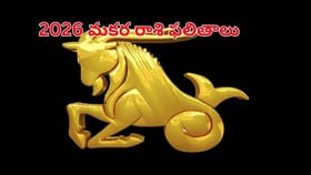 2026 మకరరాశి వారికి ఎలా ఉండనుందో తెలుసా? కెరీర్, ఆర్థిక పరిస్థితి