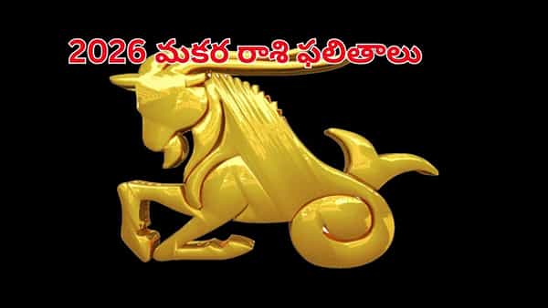 Makara Rasi 2026: 2026 మకరరాశి వారికి ఎలా ఉండనుందో తెలుసా..? మీ కెరీర్, ఆర్థిక పరిస్థితుల్లో వచ్చే మార్పులు..