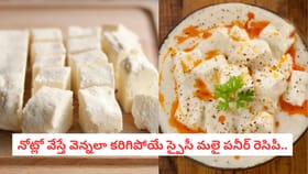 నోట్లో వేస్తే వెన్నలా కరిగిపోయే స్పైసీ మలై పనీర్ రెసిపీ..