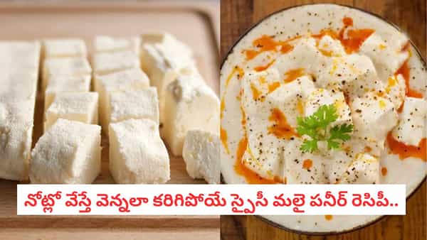 Malai Paneer Recipe: ఇంట్లో పనీర్ ఉందా? రొటీన్ కూరలు పక్కన పెట్టి.. ఈ రాయల్ మలై పనీర్ ట్రై చేయండి
