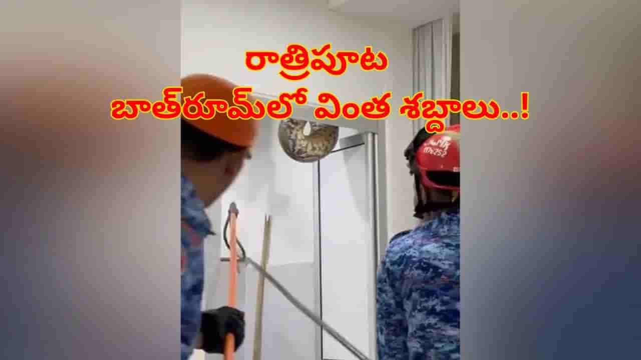 Viral Video: రాత్రిపూట బాత్‌రూమ్‌లో వింత శబ్దాలు.. ఏంటా అని డోర్ ఓపెన్ చూసి షాక్
