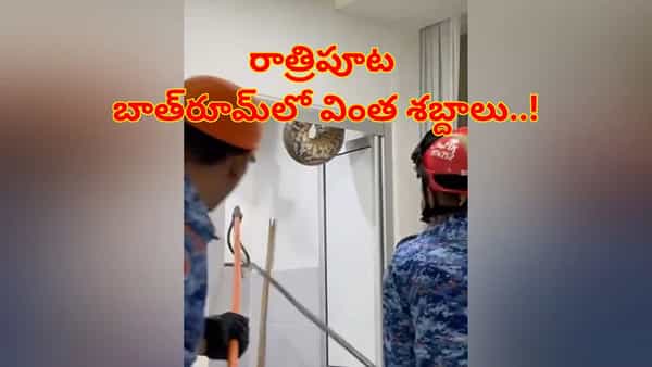 Viral Video: రాత్రిపూట బాత్రూమ్లో వింత శబ్దాలు.. ఏంటా అని డోర్ ఓపెన్ చూసి షాక్