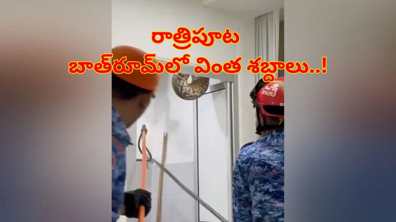 Viral Video: రాత్రిపూట బాత్‌రూమ్‌లో వింత శబ్దాలు.. ఏంటా అని డోర్ ఓపెన్ చూసి షాక్