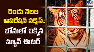 కోటి ఆశలతో కొత్త జీవితాన్ని ప్రారంభించిన నవ జంట.. అంతలోనే..