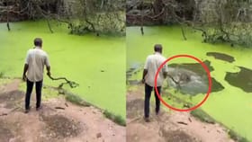 మొసలితో పరిహాసమా..? ఎక్కడో తేడా కొడుతోంది..!