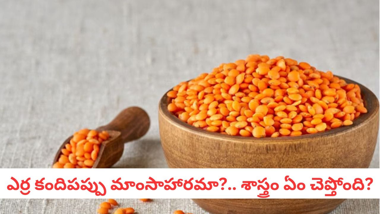 Masoor Dal: మసూర్ దాల్ వెనుక రాహువు, కేతువుల కథ! బ్రాహ్మణులు ఈ పప్పును ఎందుకు తినరు?