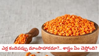 Full Moon Day: పౌర్ణమి రోజున ఈ 5 పనులు చేస్తే దరిద్రం పట్టుకుంటుంది! శాస్త్రీయ కారణమిదే..