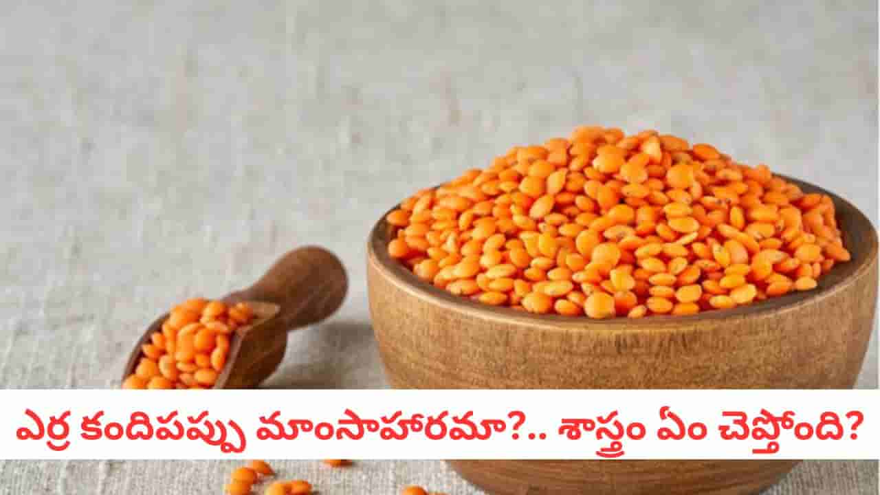 Masoor Dal: మసూర్ దాల్ వెనుక రాహువు, కేతువుల కథ! బ్రాహ్మణులు ఈ పప్పును ఎందుకు తినరు?