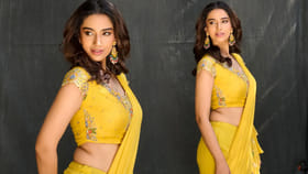 బడా హీరోల సినిమాల్లో బంపర్ ఆఫర్ అందుకుంటుంటున్న భామ