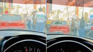 Watch: ఓరి దీని వేషాలు.. పామును పిల్లి ఎలా కెలుకుతుందో చూస్తే.. నవ్వు ఆపుకోలేరు..!