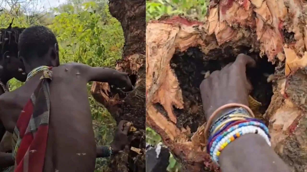 Viral Video: ఏం గుండెరా వాడిది.. ఏకంగా తేనె పుట్టలో చేయి పెట్టి మరీ..!