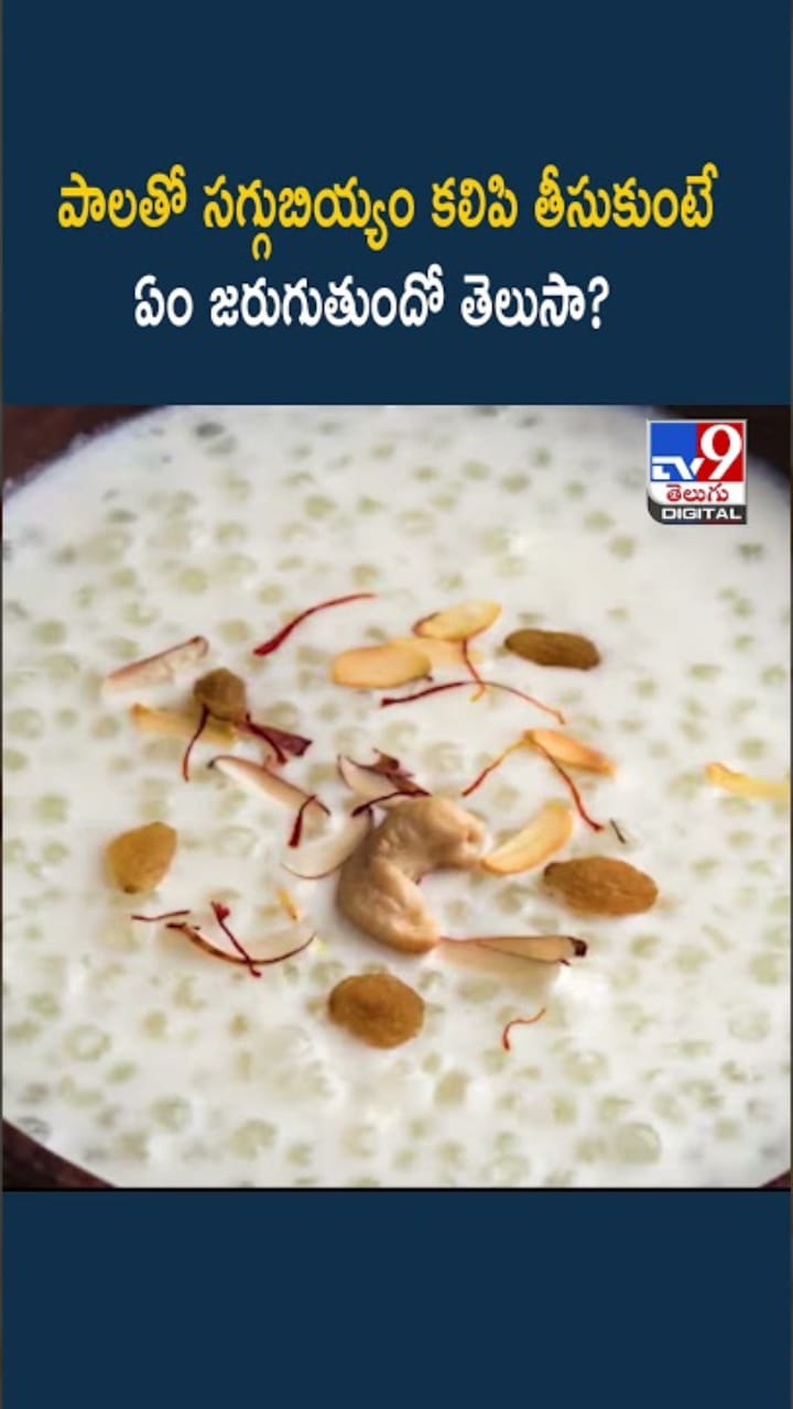 Saggubiyyam: సగ్గుబియ్యం పాలతో కలిపి తీసుకుంటే ఎన్నో లాభాలు