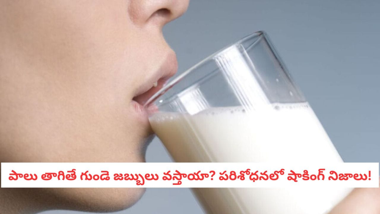Milk Benefits: వయసు పైబడిన వారు పాలు తాగొచ్చా? 20 ఏళ్ల పాటు జరిగిన ఈ అధ్యయనం ఏం చెబుతోంది?
