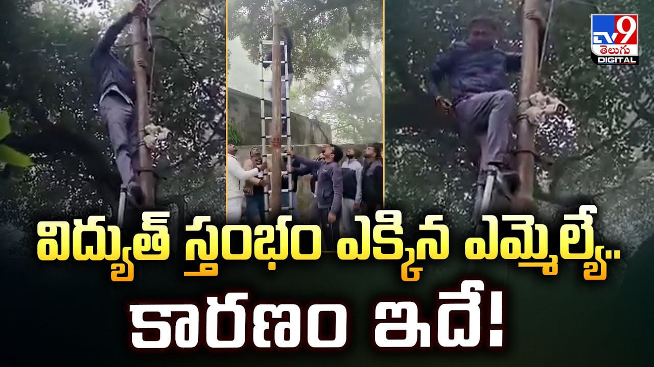 విద్యుత్‌ స్తంభం ఎక్కిన ఎమ్మెల్యే.. కారణం ఏంటో తెలిస్తే షాక్ అవుతారు